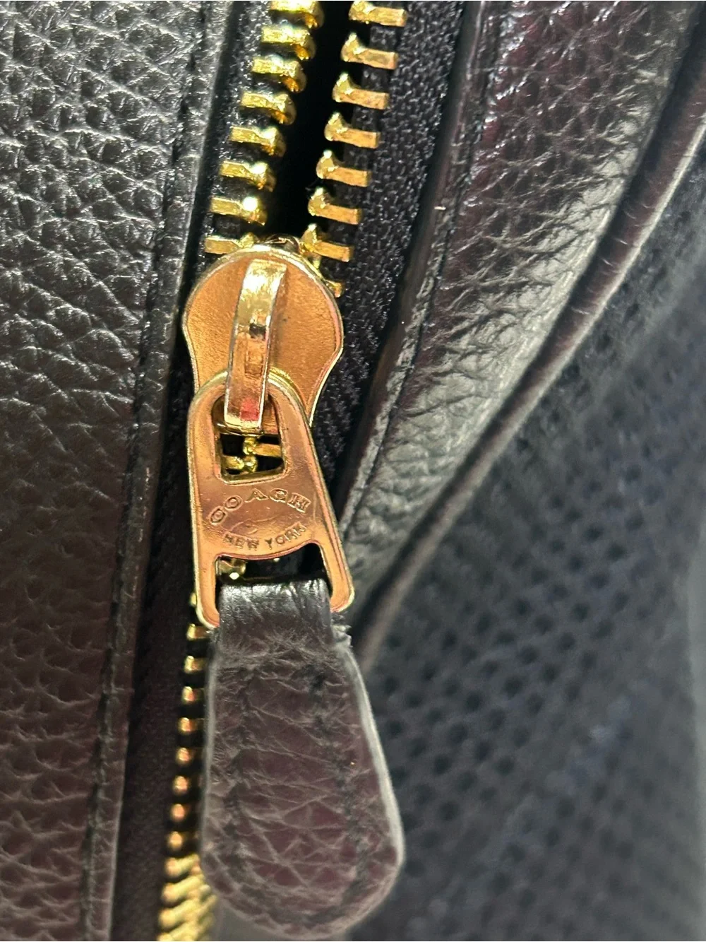 Coach Court Backpack Refined Pebble Leather Bag 5666
